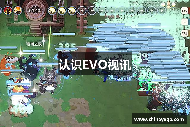 认识EVO视讯